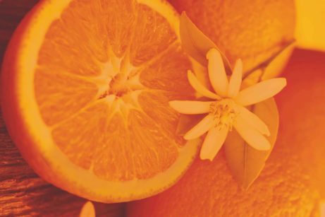 oranžová altearah bio